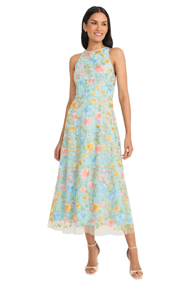 Floral Embroidered Sleeveless Midi Dress, Alternate, color, YELLOW/ PINK/ BLUE