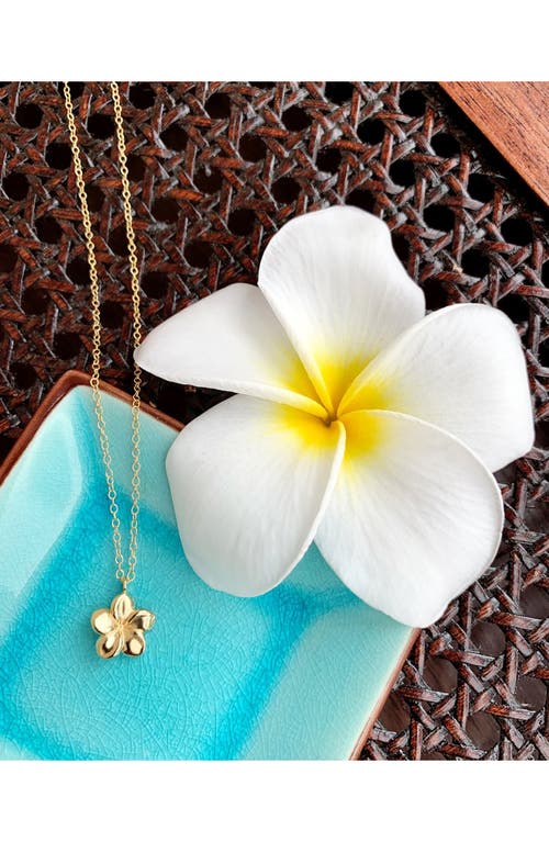 Kiara By Ki-ele Melia Plumeria Pendant Necklace In Gold