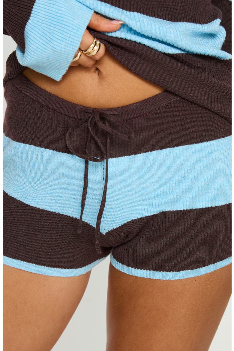 Low Rise Stripe Knit Shorts, Alternate, color, BLUE / BROWN