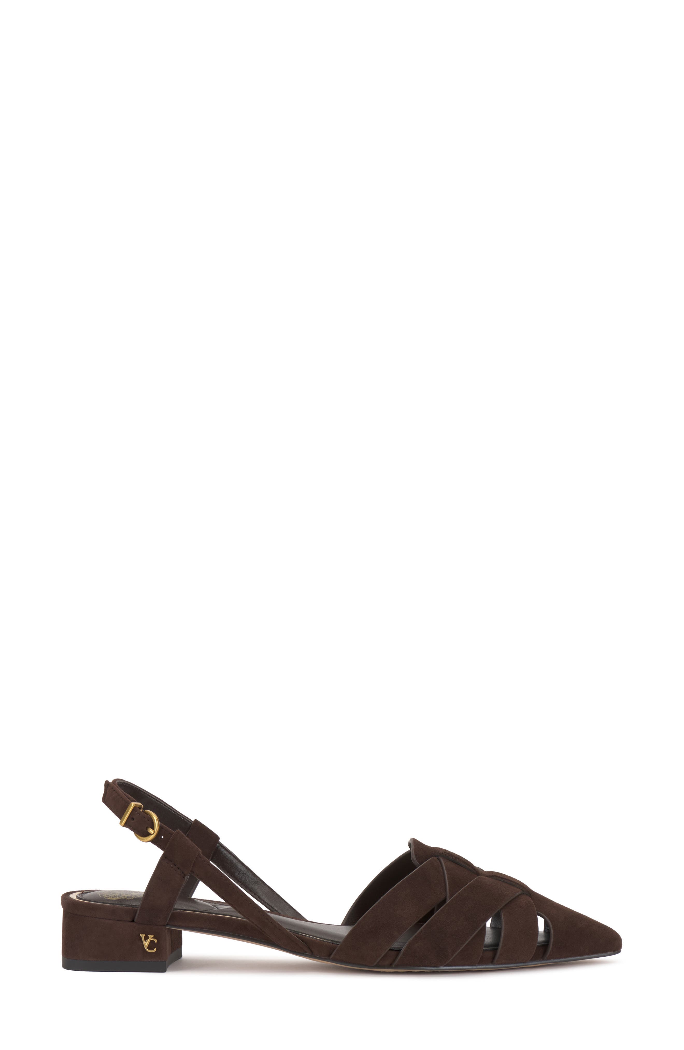 Vince Camuto Vinesha Slingback Pointed Toe Pump, Alternate, color, Brownie