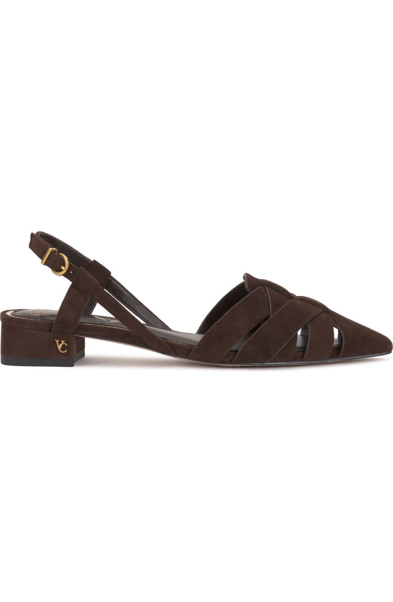 Vince Camuto Vinesha Slingback Pointed Toe Pump, Alternate, color, Brownie