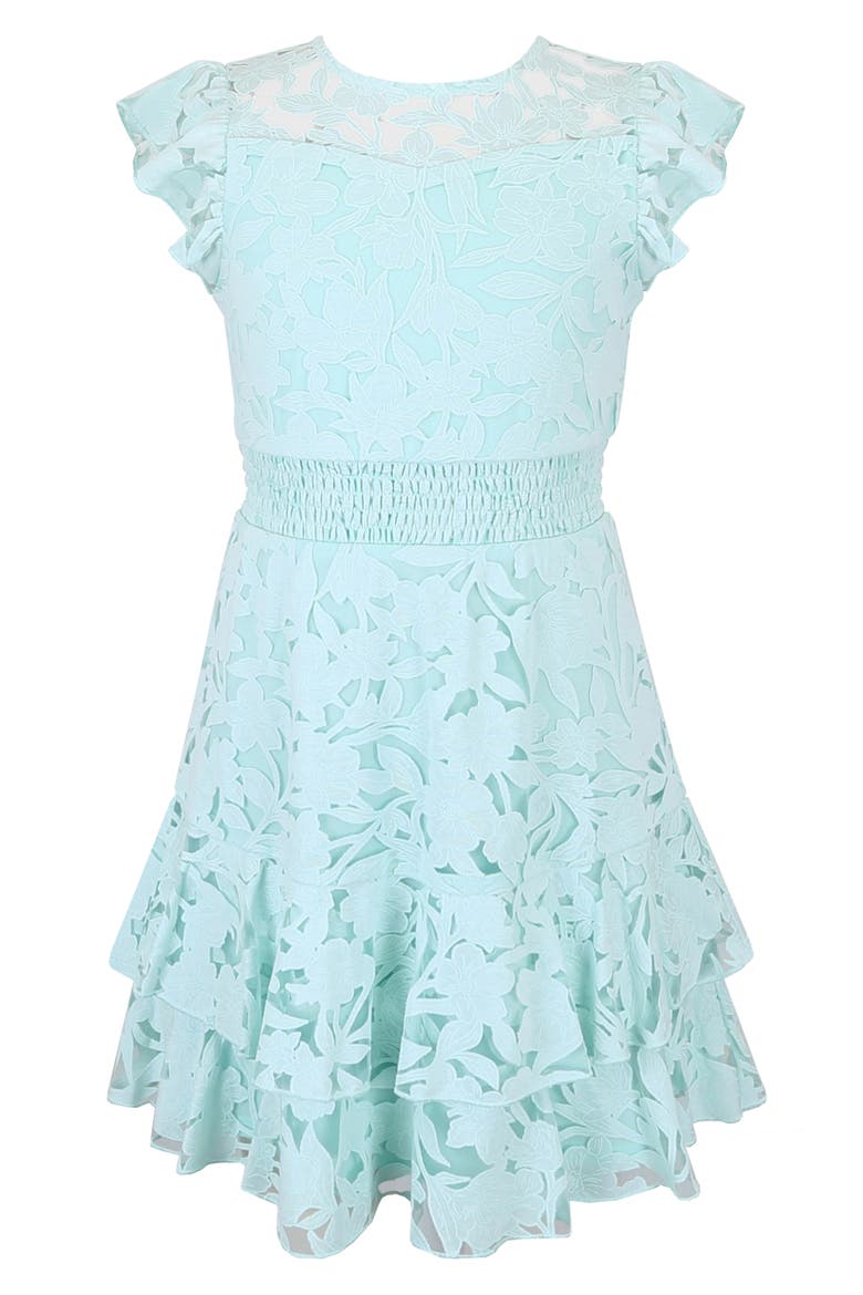 Kids' Burnout Lace Overlay Party Dress, Main, color, MINT