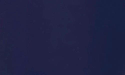 Spanx ® Shape™ Booty Boost Flare Pants In Timeless Navy