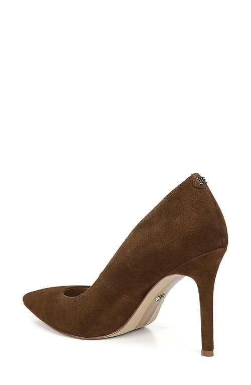 Sam Edelman Hazel Pointed Toe Pump In Brown