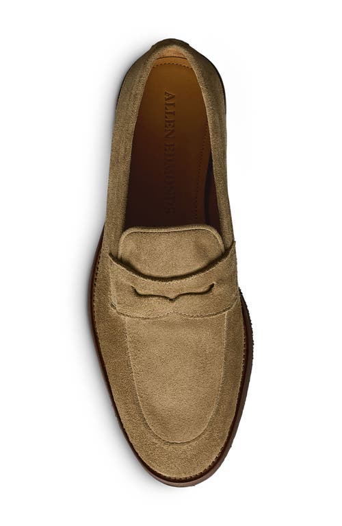 Allen Edmonds Como Penny Loafer In Tobacco