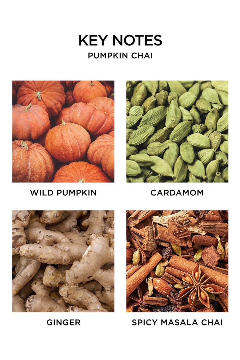 Pumpkin Chai Candle, Alternate, color, NO COLOR