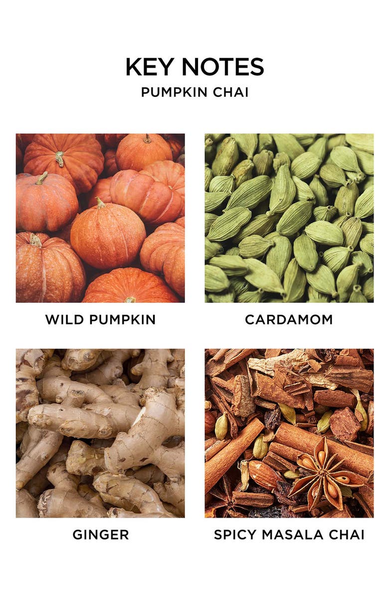 NEST New York Pumpkin Chai Candle, Alternate, color,