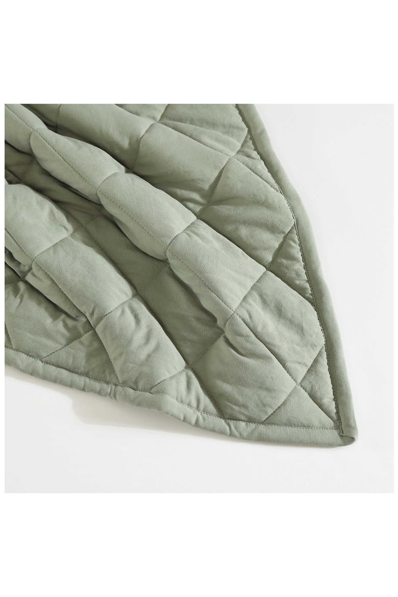 Classic Soft Solid Blanket, Alternate, color, GREEN