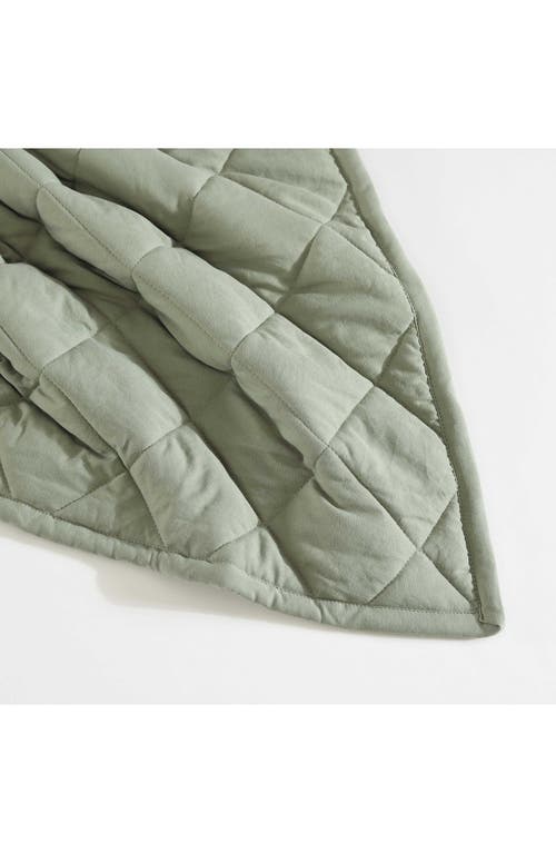 Eddie Bauer Classic Soft Solid Blanket In Green