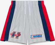 Mitchell & Ness Men's Mitchell & Ness Silver Houston Comets 1997 Court Origins Swingman Shorts