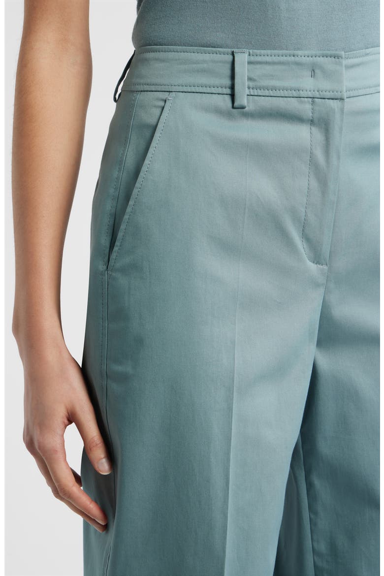 Tecarino2 Flat Front Ankle Pants, Alternate, color, REEF