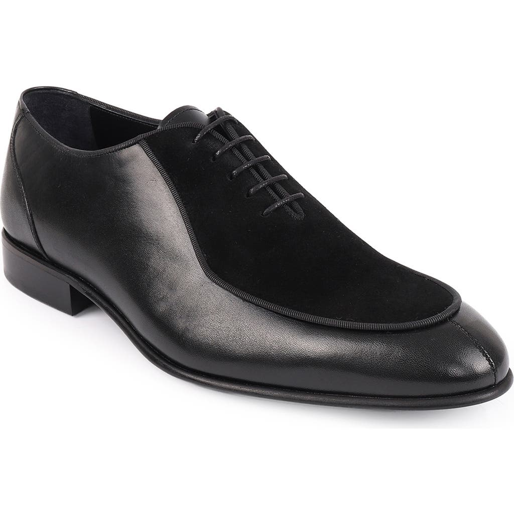 Vellapais Ovalo Oxford In Black