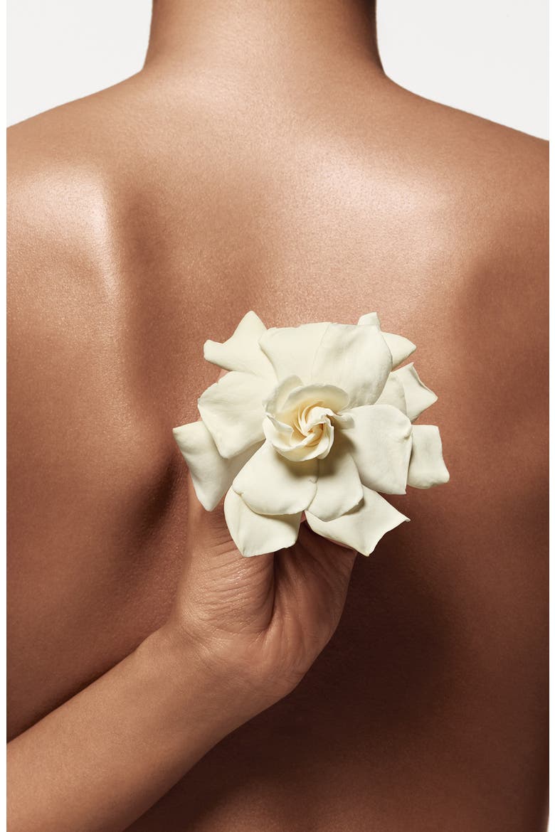 Cashmere Mist Body Lotion $283 Value, Alternate, color, NO COLOR