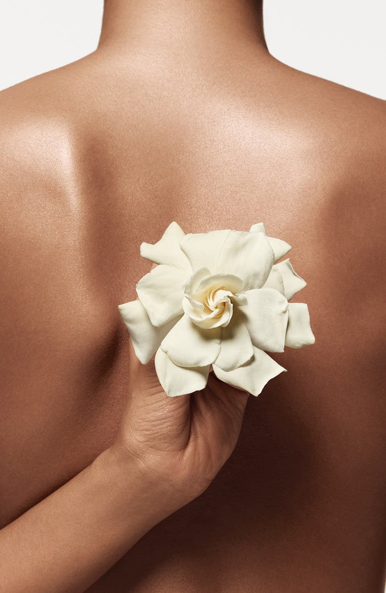 Donna Karan New York Cashmere Mist Body Lotion $283 Value, Alternate, color, 