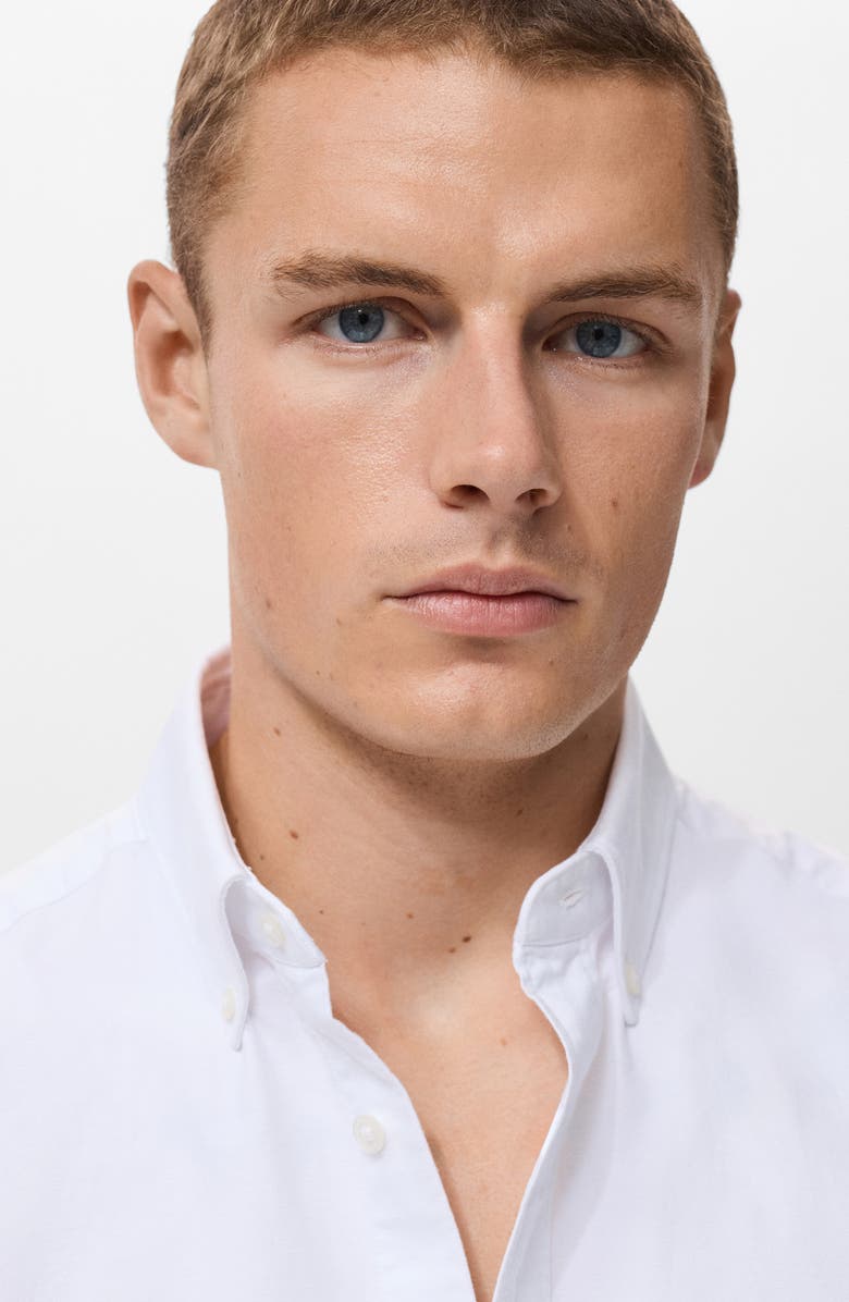 MANGO Regular Fit Oxford Button-Down Shirt, Alternate, color, White