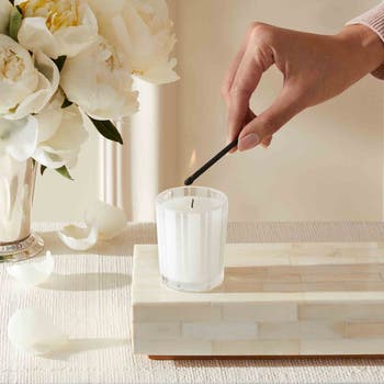 Coconut Palm Scented Candle