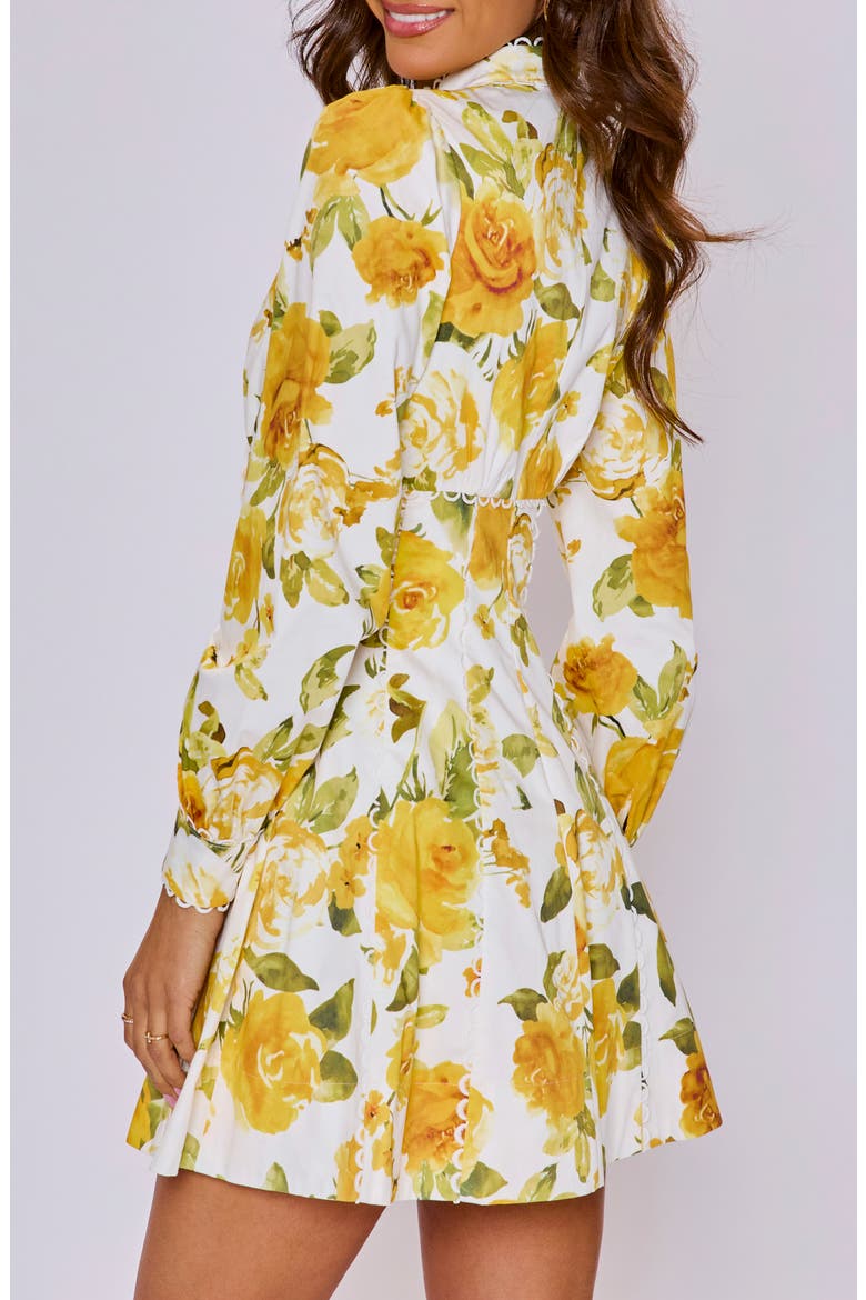 Vivienne Floral Long Sleeve Stretch Cotton Minidress, Alternate, color, IVORY YELLOW