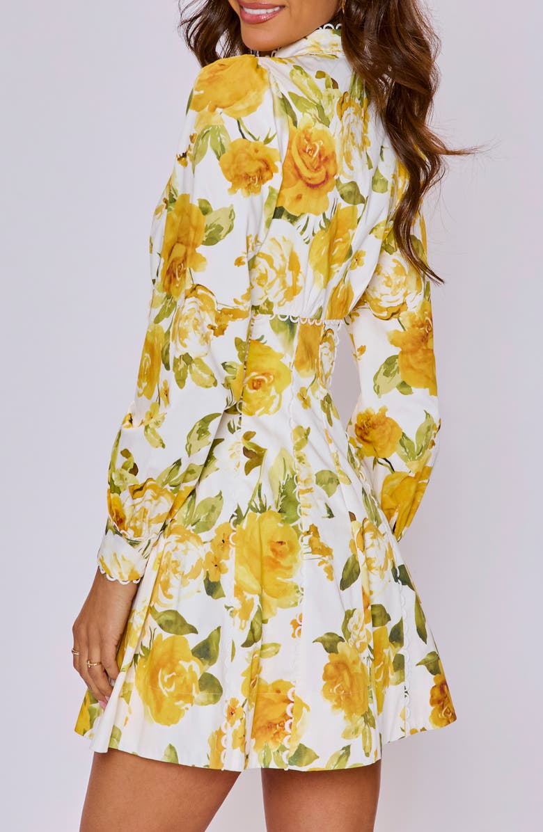 VICI Collection Vivienne Floral Long Sleeve Stretch Cotton Minidress, Alternate, color, 