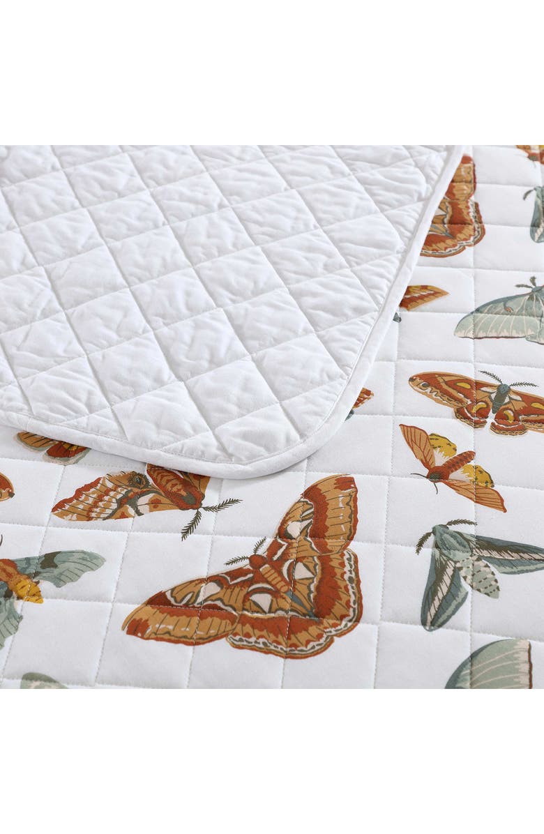 Eddie Bauer Wilford Butterfly Cotton Full Quilt & Sham Set, Alternate, color, Natural