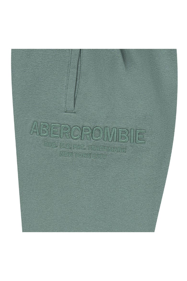 Kids' Loose Cotton Blend Fleece Sweatpants, Alternate, color, DARK FOREST
