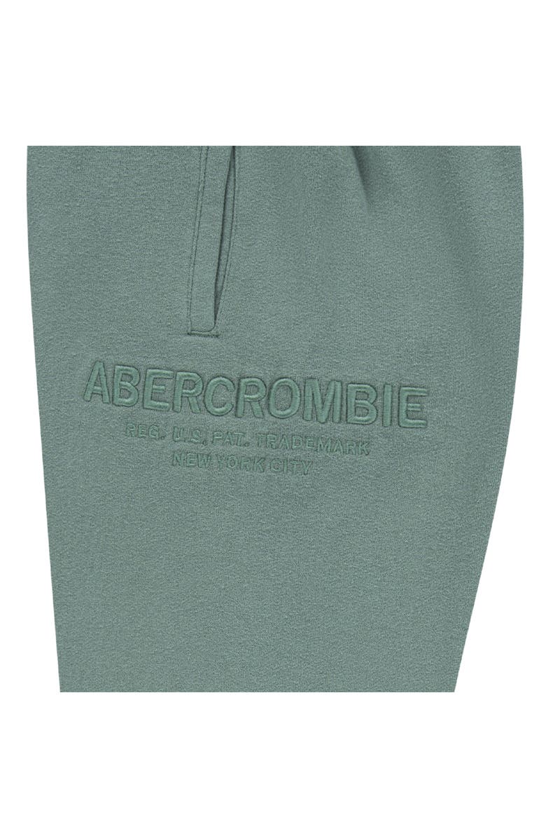 abercrombie kids Kids' Loose Cotton Blend Fleece Sweatpants, Alternate, color, Dark Forest