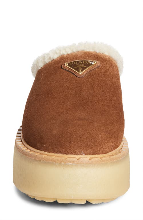 Prada Suede Shearling Cozy Platform Mules In Brown
