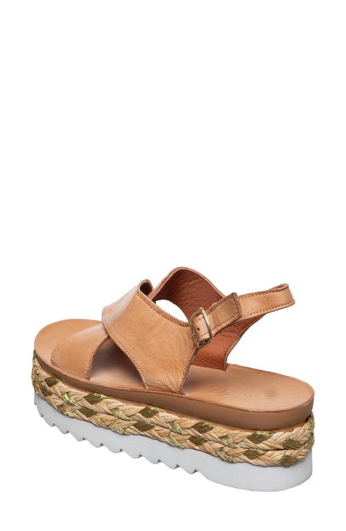 Antelope Abby Platform Sandal In Taupe