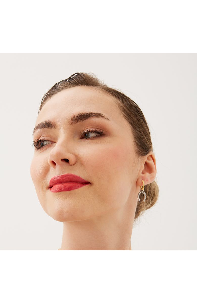 Spero London Gold Vermeil Hoop Sterling Silver Horseshoe Equestrian Earrings, Alternate, color, Silver