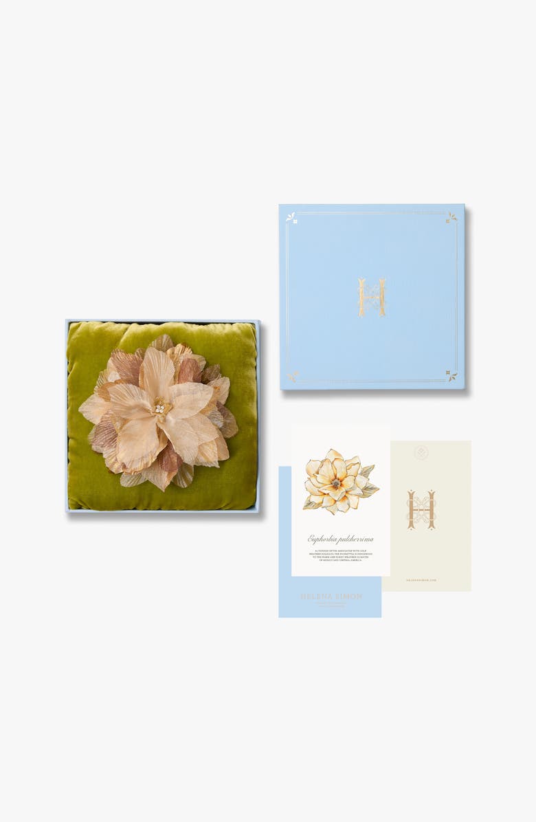 Helena Simon The Golden Poinsettia Floral Brooch, Alternate, color, Gold