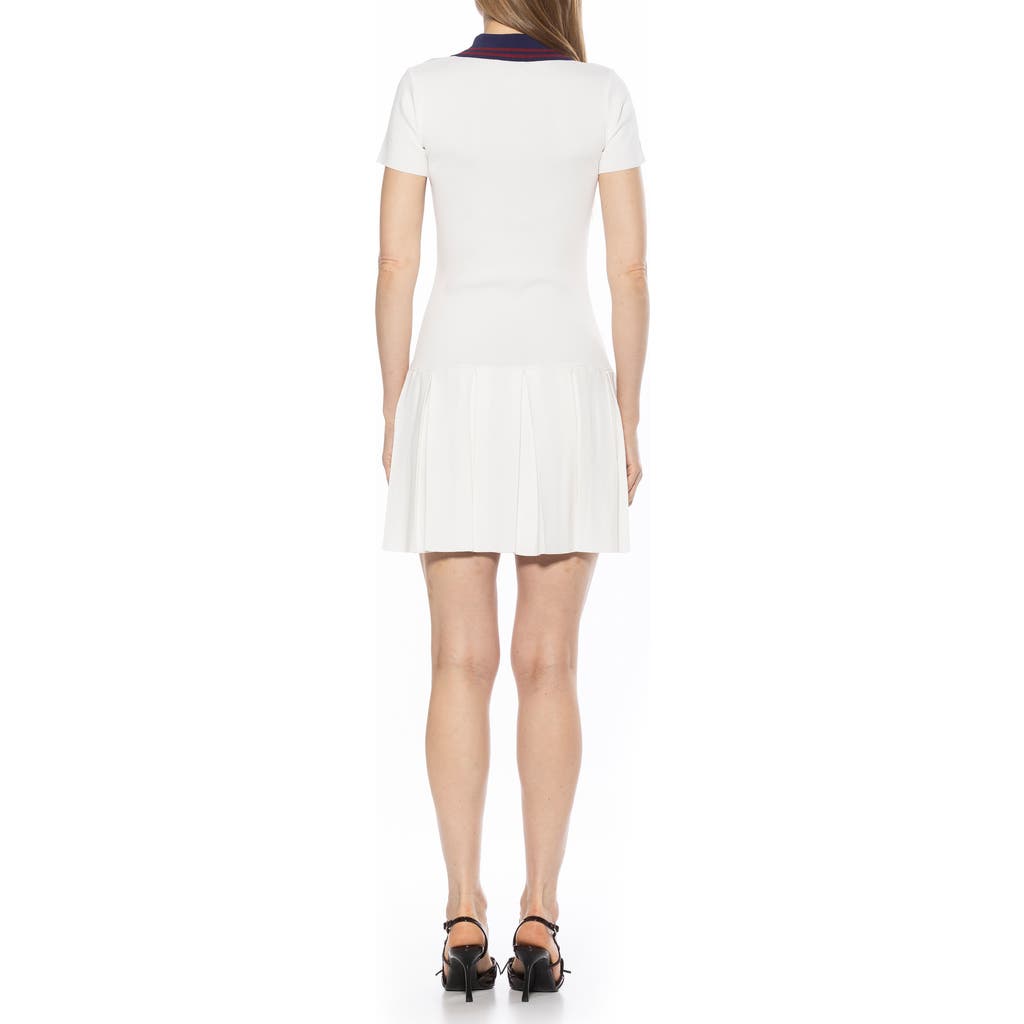 Alexia Admor Rory A-line Polo Dress In Ivory