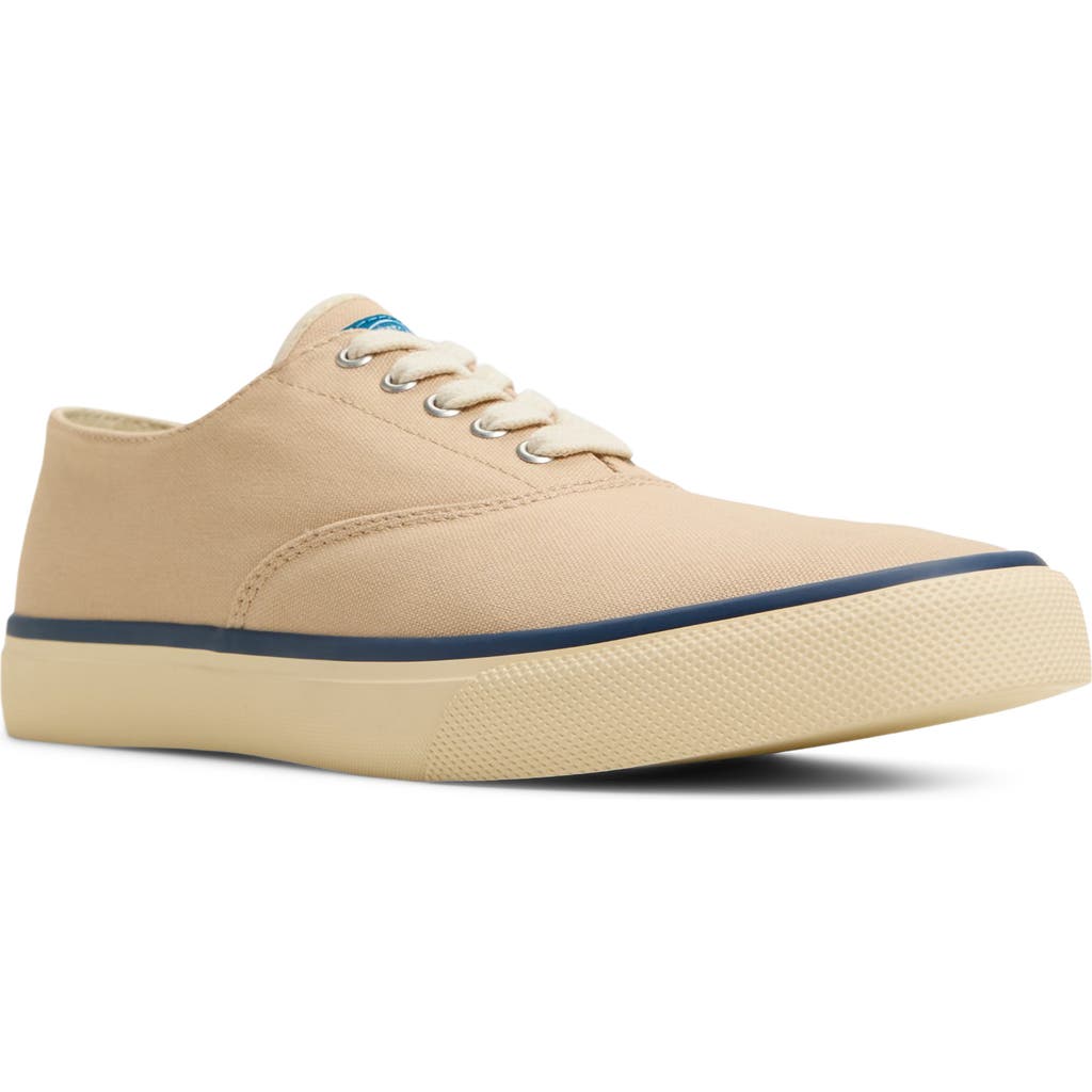 Sperry Classic CVO Sneaker in White/multi at Nordstrom, Size 14