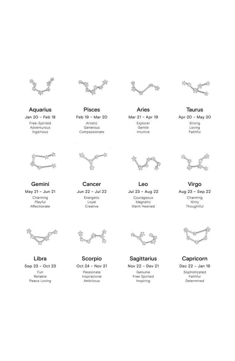 Bearfruit Jewelry 14k Gold Constellation Zodiac Necklace, 12 Zodiac Constellation Holiday Gift Idea, Alternate, color, Silver - Leo