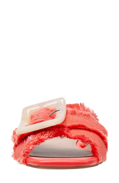 Shop Linea Paolo Lottie Slide Sandal In Pink Coral
