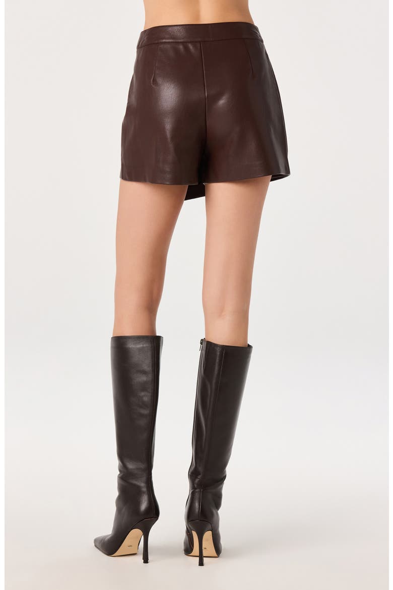 Oaklee Faux Leather Skort, Alternate, color, BROWN