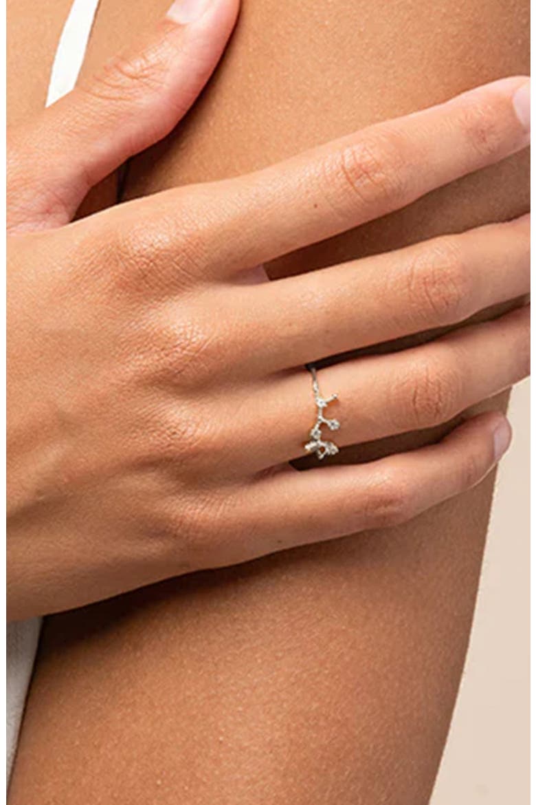 Constellation Zodiac Ring, Alternate, color, Cancer Silver