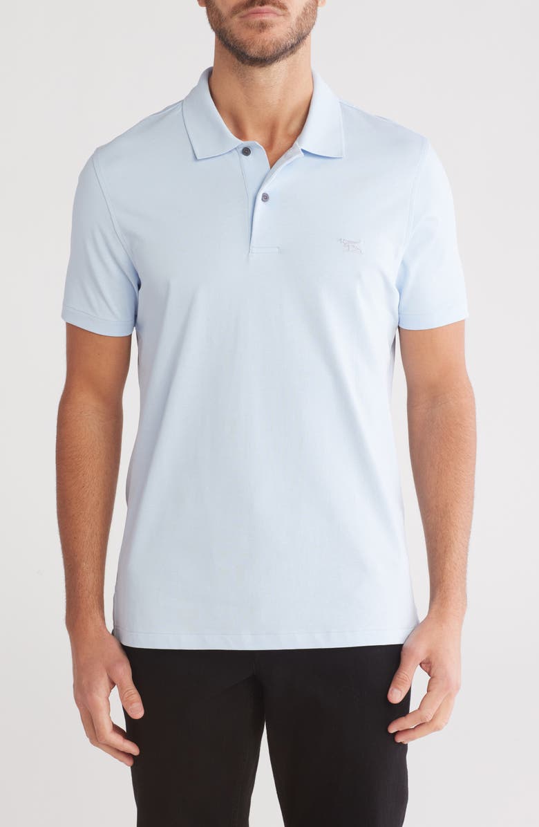 Rodd & Gunn Dalmore Sports Fit Knit Polo, Main, color, Sky Blue