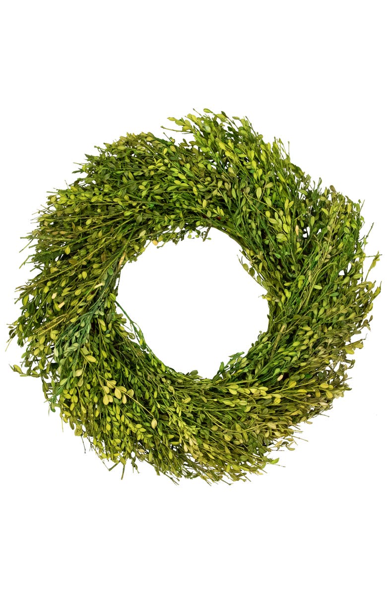 Northlight Green Foliage Artificial Spring Wreath - 20' - Unlit, Main, color, Green