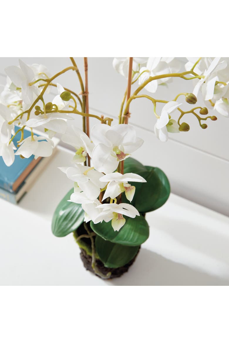 Phalaenopsis Orchid Faux (Fake) Drop-In 20", Alternate, color, White