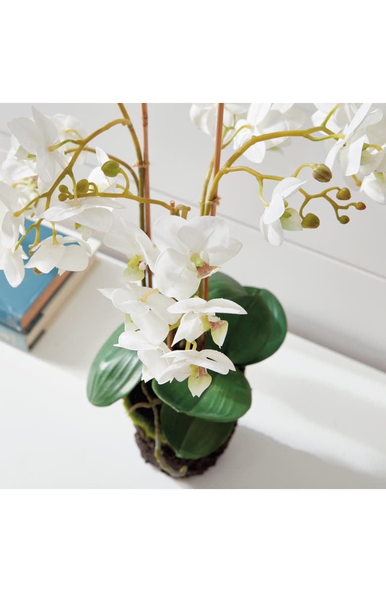 Napa Home & Garden Phalaenopsis Orchid Faux (Fake) Drop-In 20", Alternate, color,
