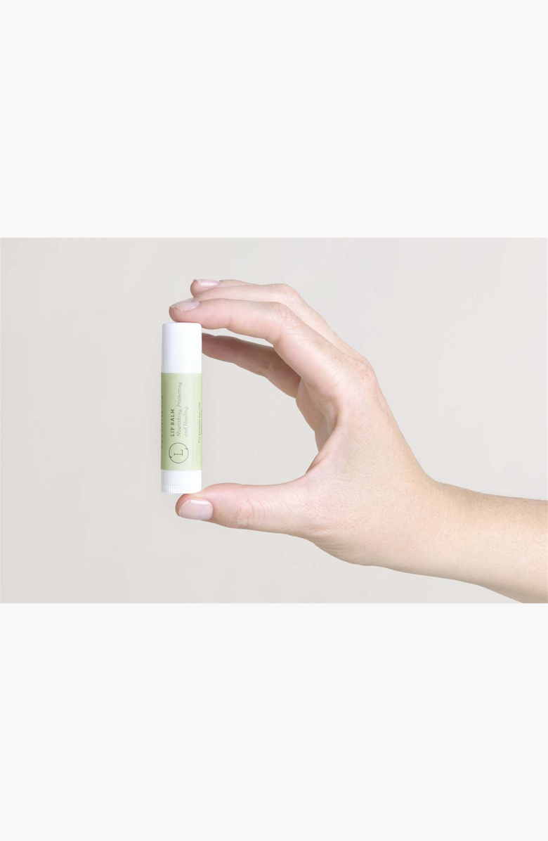 Lizush Lip Balm Set of 3 Natural Unscented, Alternate, color, NO COLOR