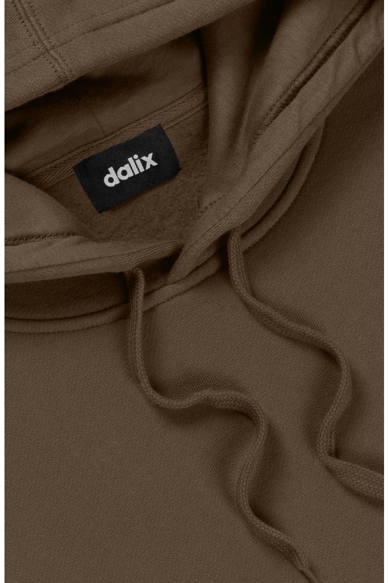 Astronaut Midweight Fleece Classic Hooded Sweatshirt, Alternate, color, Walnut
