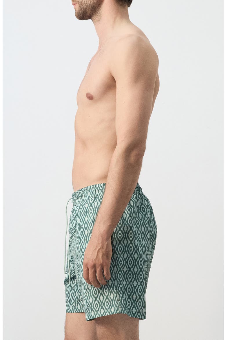 Print Swim Trunks, Alternate, color, GREEN