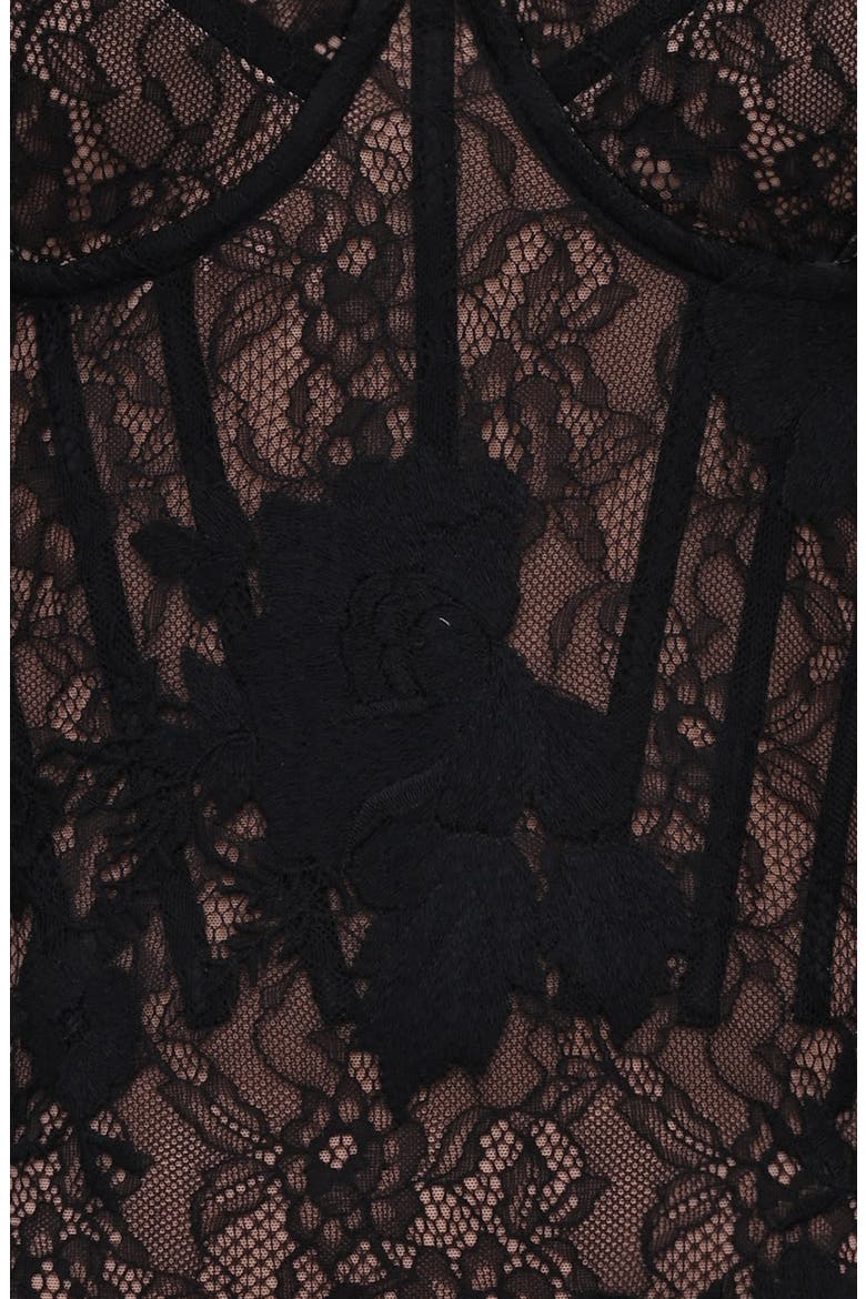 Aneira Long Sleeve Lace Corset Top, Alternate, color, BLACK