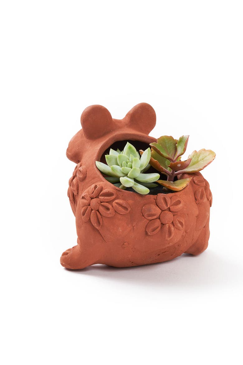 Rakshana Frog Plant Pot - Terracotta, Alternate, color, Terracotta
