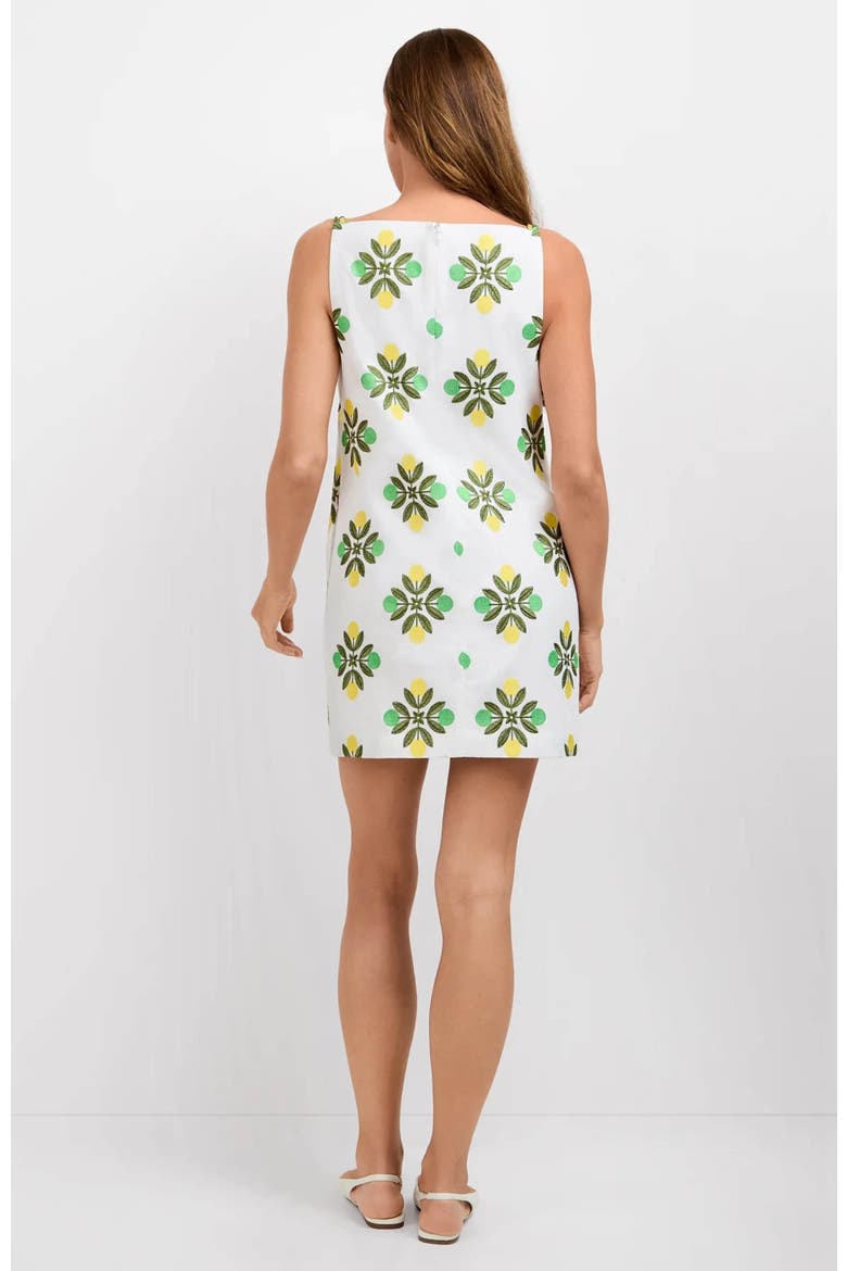 Solay Mini Dress, Alternate, color, Limone Embroidery
