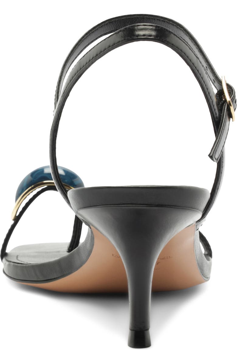 Arezzo Sofia Ankle Strap Sandal, Alternate, color, Black