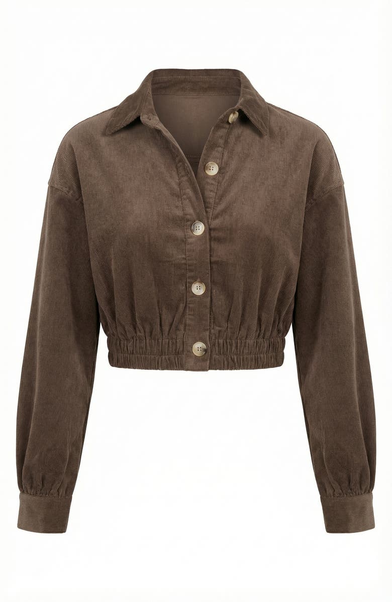 Modenaire Cropped Collared Button-Up Stretch Hem Jacket, Alternate, color, Brown