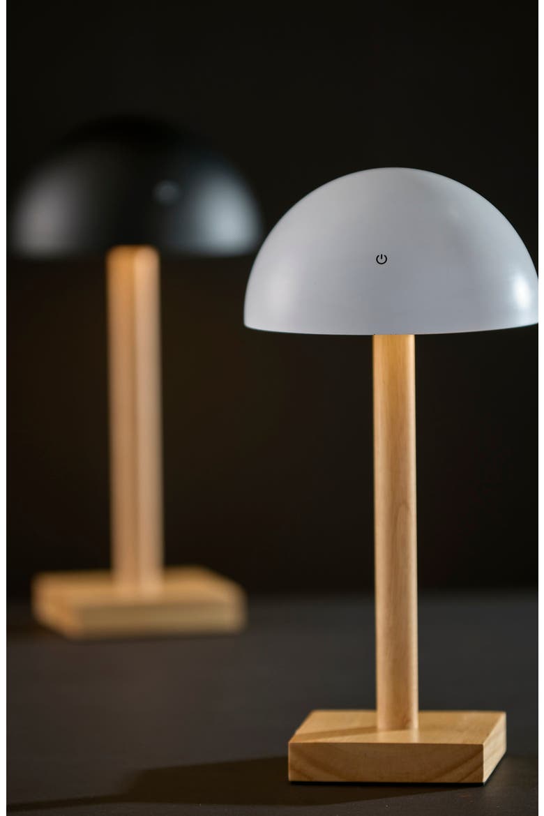 Nash LED Cordless Table Lamp, Alternate, color, WHITE