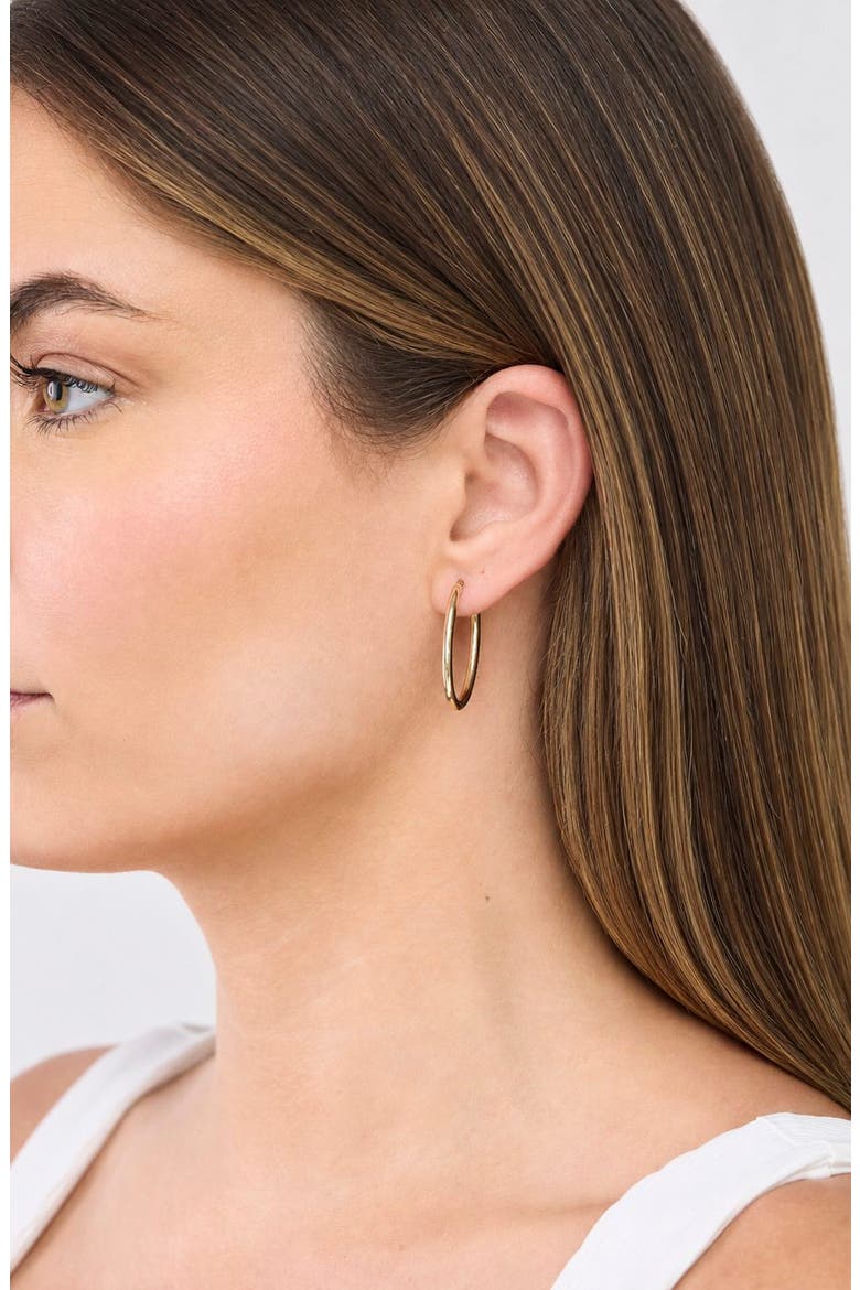 14k Gold Hoop Earrings, Alternate, color, 14KY