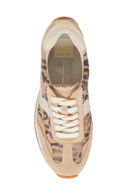 DOLCE VITA DOLCE VITA B.NTCD SNEAKER